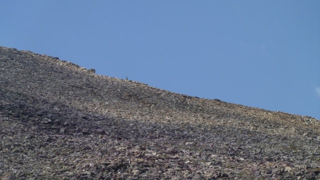 Good luck my friend.